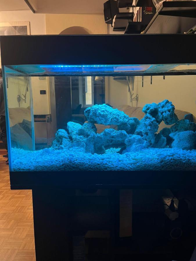 Red Sun Acquarium Apartment Bologna Luaran gambar